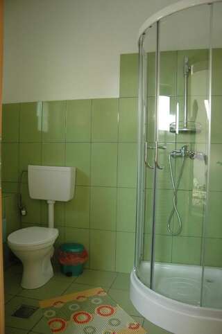 Гостевой дом Pensiunea Caramida Verde Крайова Трехместный номер с собственной ванной комнатой-3